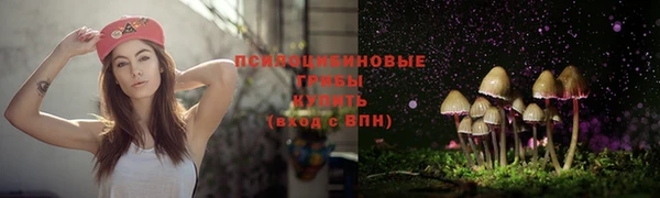 apvp Осинники
