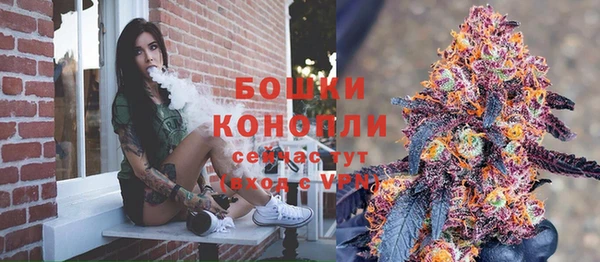 apvp Осинники