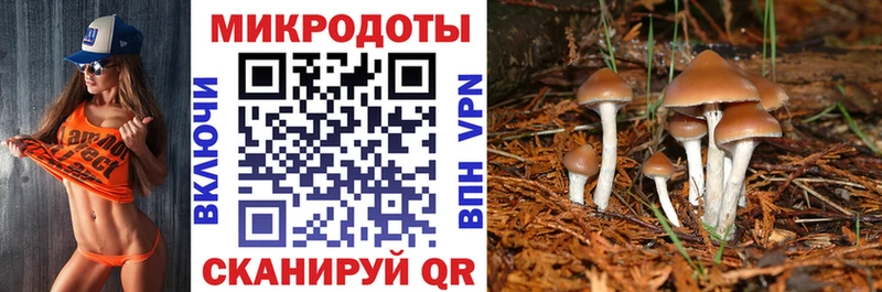Псилоцибиновые грибы мицелий  ссылка на мегу как зайти  Усть-Катав 